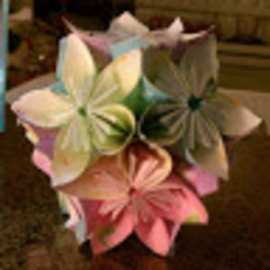 Meet your Posher, Louise